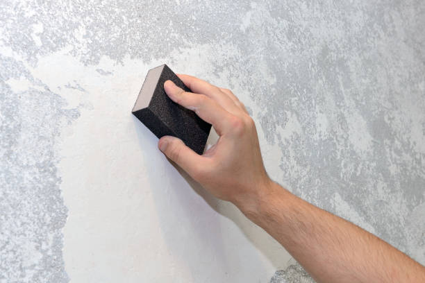 Professional Mold Removal in Attalla, AL