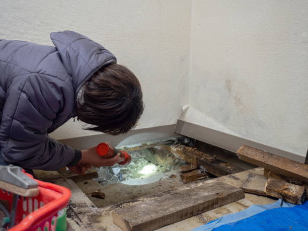 Best Post-Construction Mold Inspection  in Attla, AL