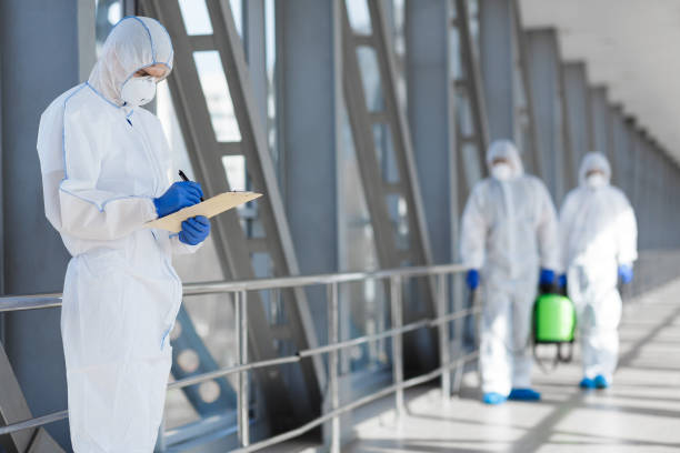Best Mold Odor Removal Services  in Attla, AL